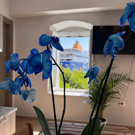 Apartamento Ikigai Syros *