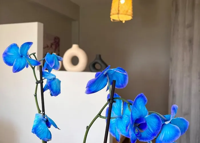 Apartamento Ikigai Syros Ermoupoli