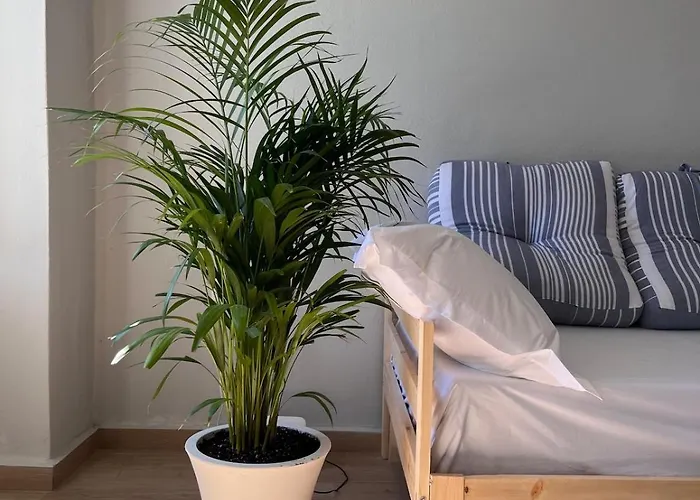 Apartamento Ikigai Syros