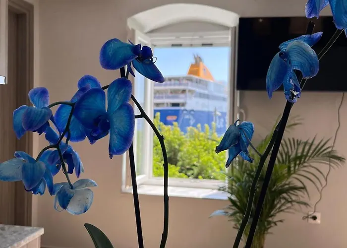 Apartamento Ikigai Syros *