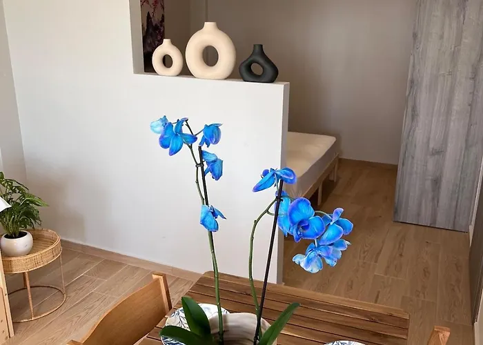 Apartamento Ikigai Syros *