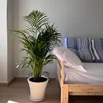 Lägenhet Ikigai Syros