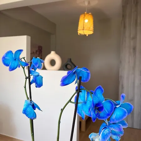 Apartamento Ikigai Syros Hermópolis