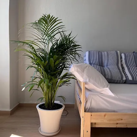 Lägenhet Ikigai Syros