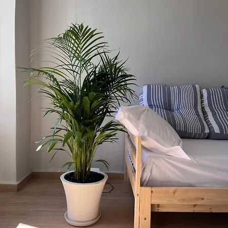Lägenhet Ikigai Syros